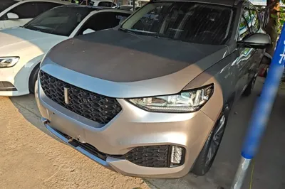 WEY VV6