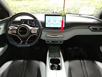 BYD Seagull