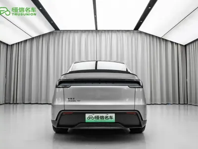 Tesla Model Y L
