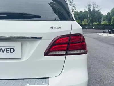 Mercedes-Benz 奔驰GLE(进口)