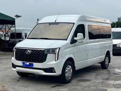 Maxus V80
