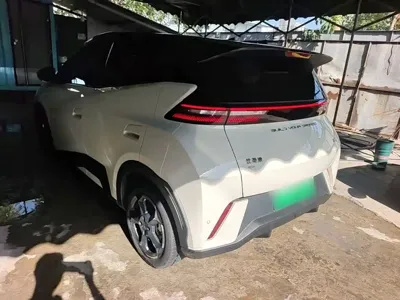 BYD Seagull