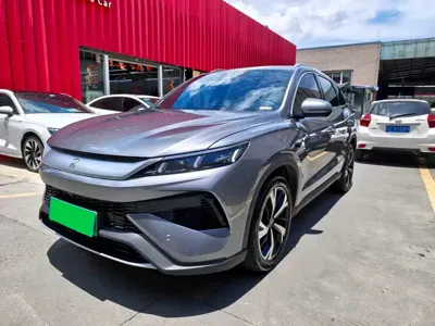 BYD Pro New Energy