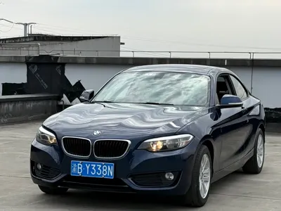 BMW 2 Series (Import)