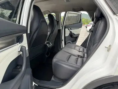 WM Motor EX5