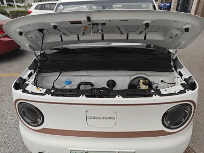 Geely Panda
