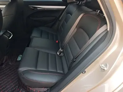 Geely Binrui