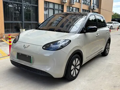 Wuling Bingo