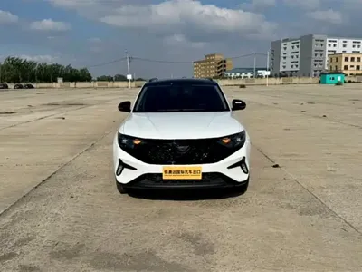 Jetta VS7