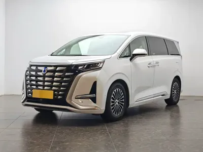 Denza Denza D9