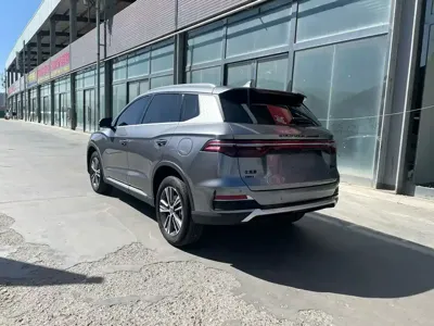 BYD Pro New Energy