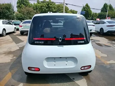ORA Ora White Cat