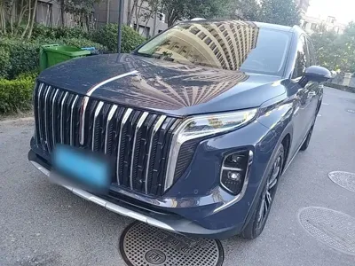 Hongqi Hongqi HS7