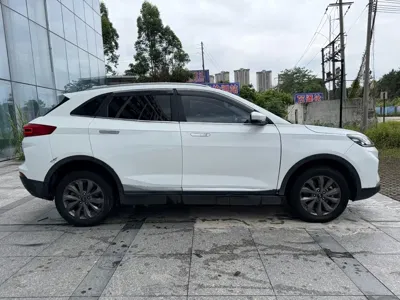 WM Motor EX5