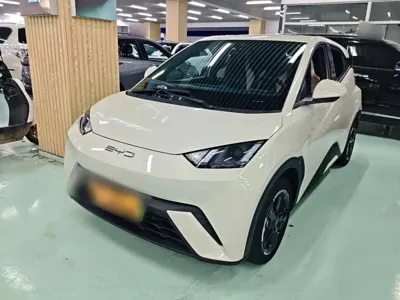 BYD Seagull