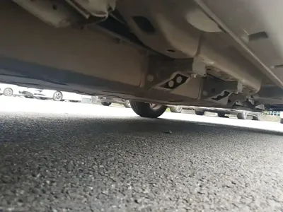 NETA Neta V