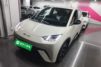 BYD Seagull