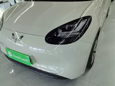 Wuling Bingo