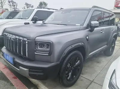 Haval 哈弗猛龙燃油