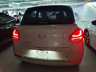 Wuling Bingo