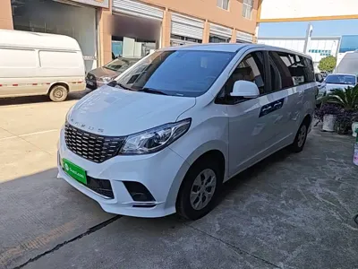 Maxus G10