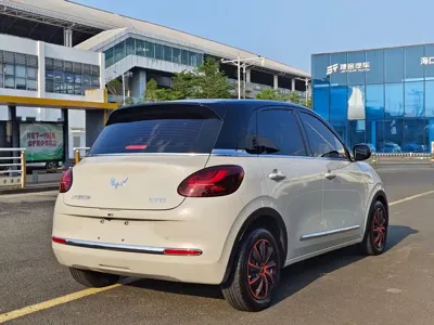 Wuling Bingo