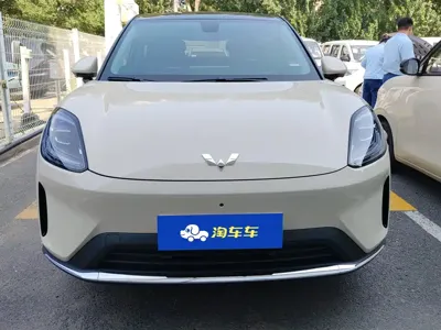 Wuling 缤果S