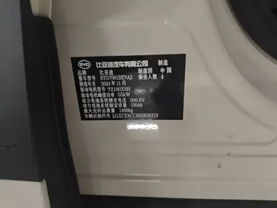 BYD Seagull