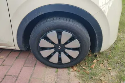 Wuling Bingo
