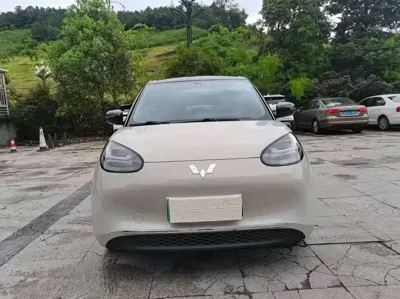 Wuling Bingo