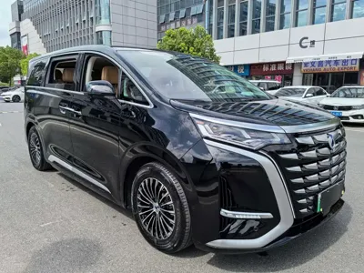 Denza Denza D9