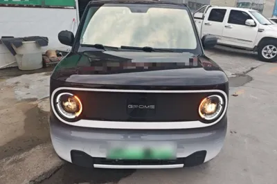 Geely Galaxy Panda