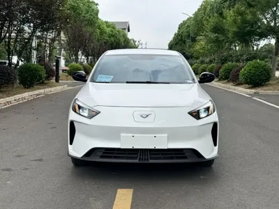 Cowin 轩度EV