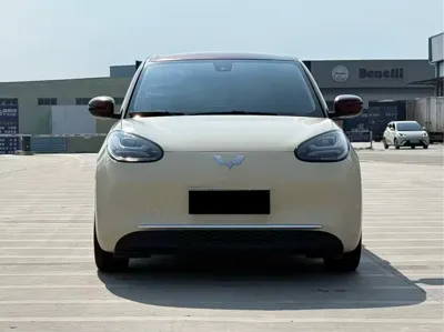 Wuling Bingo