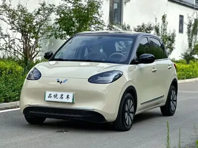 Wuling Bingo