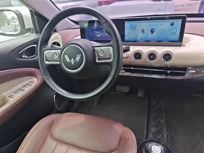 Wuling Bingo