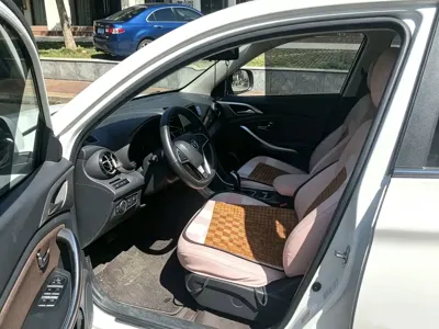 BYD New Energy