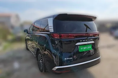 Denza D9
