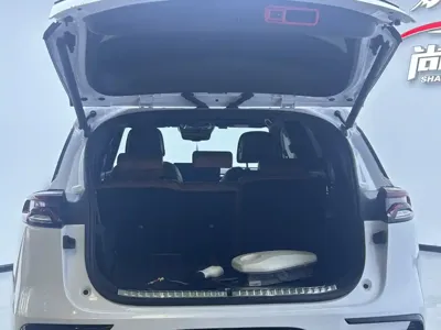 BYD Tang New Energy