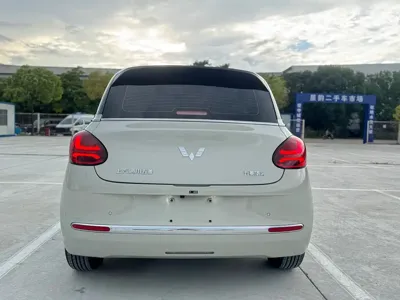 Wuling Bingo