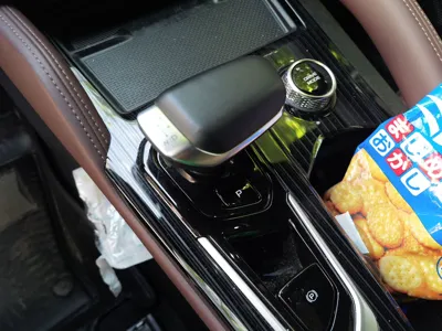 Geely Auto Monjaro L