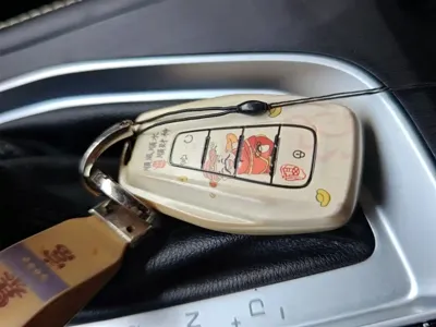Geely Binrui