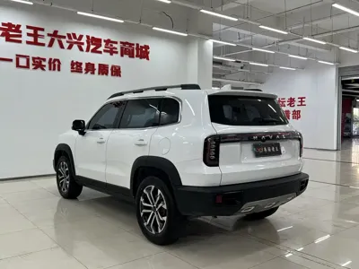 Haval Big Dog