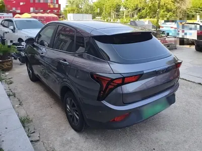 NETA Neta V