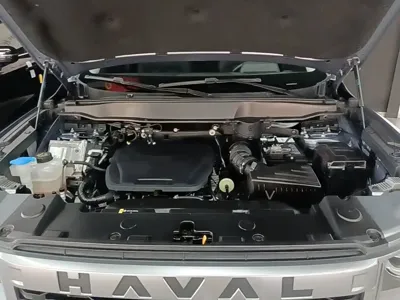 Haval Big Dog