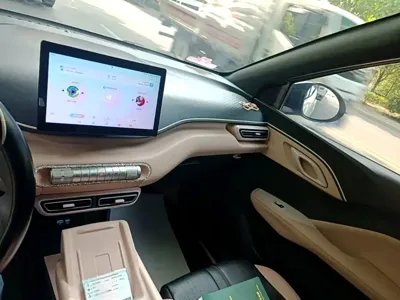 BYD Seagull