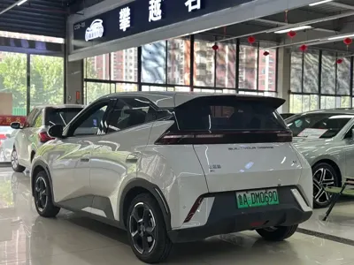 BYD Seagull