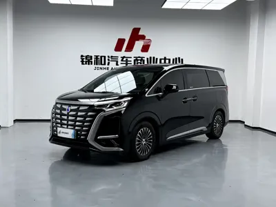 Denza Denza D9