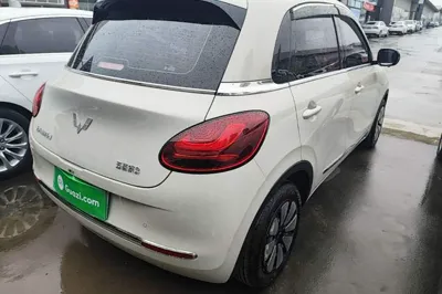 Wuling Bingo