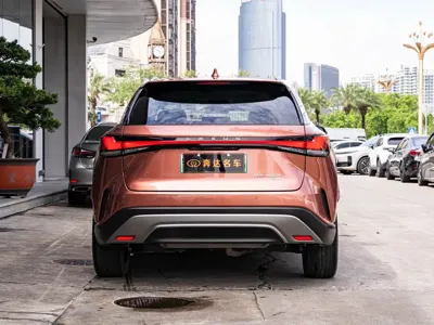 Lexus RX New Energy